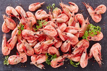 Shellfish
