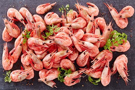 shellonprawns