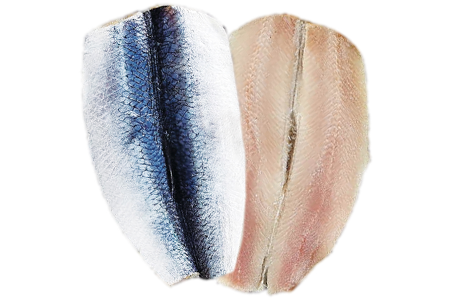 Herring_fillet