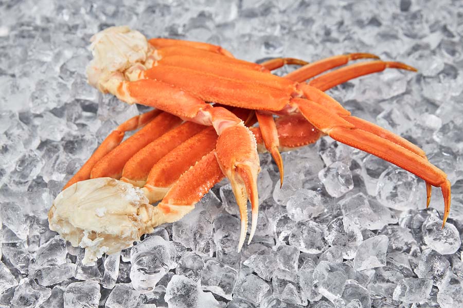 snow crab